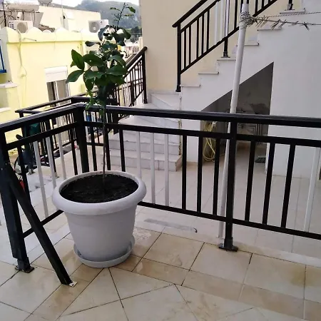 Cdk * קאליתיאס